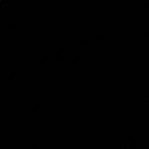 Meet your Posher, Ruth